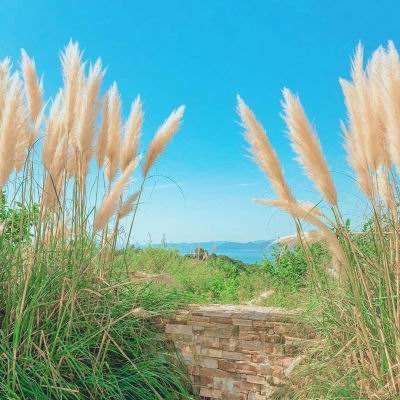 威尼斯wns·8885556