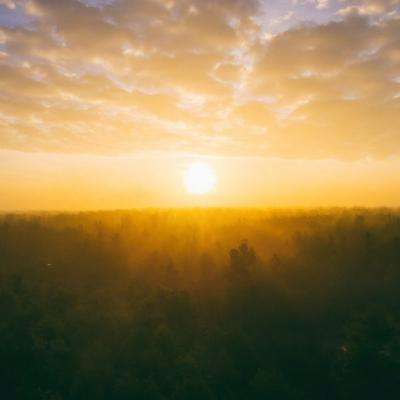 永盈会手机版手机app下载